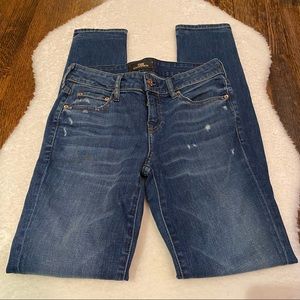 The Castings from Aritzia Mid rise Skinny Size 26